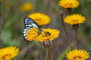 Read more about the article تعلمي كيف تعتنين بروحك