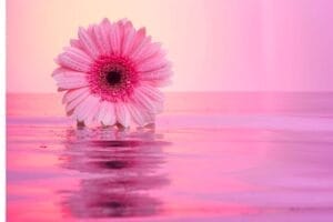 Read more about the article حين تتغيرين، لا تعتذري