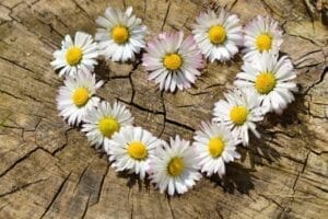 Read more about the article حين تصغين لقلبكِ