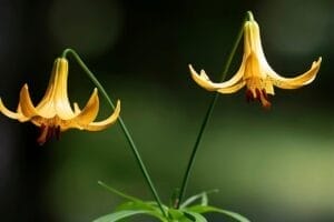 Read more about the article لا بأس إن تعبتِ أحيانًا